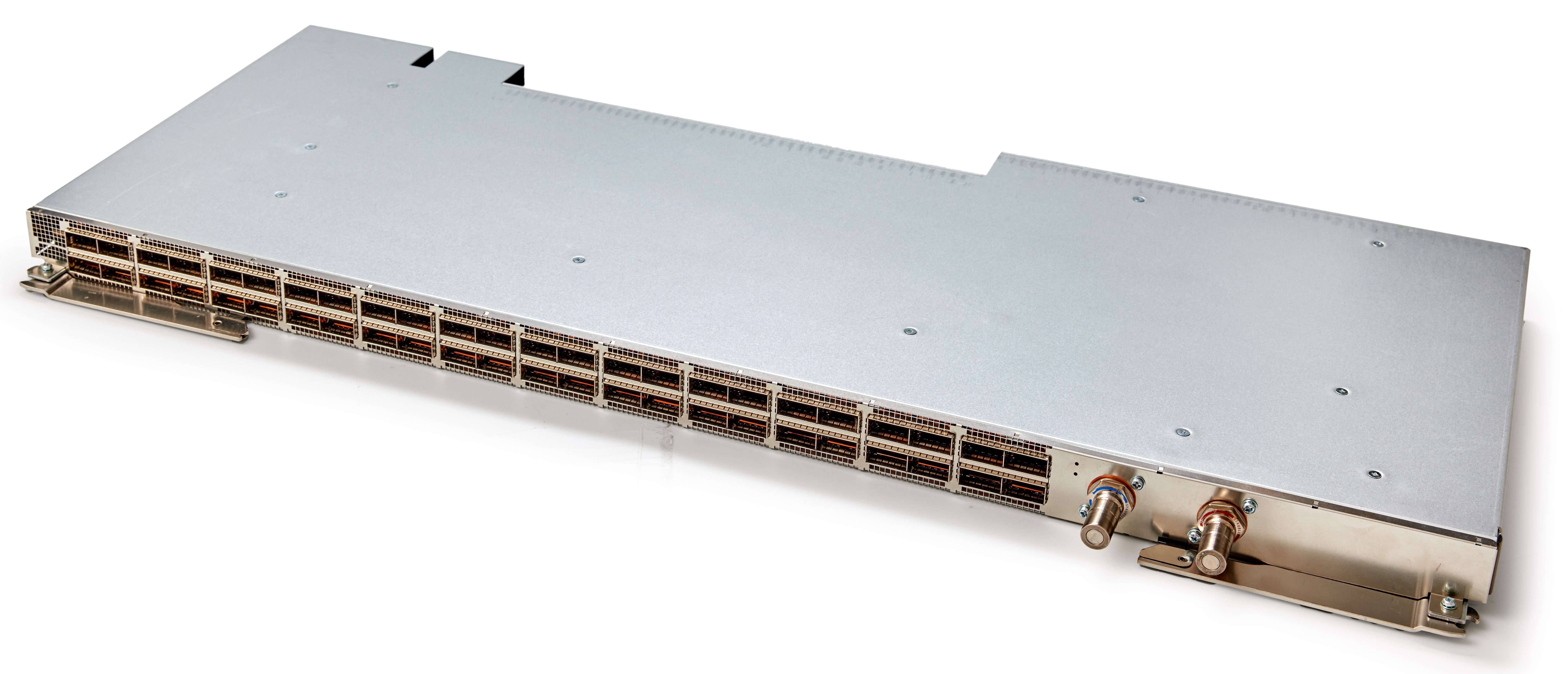 Liquid-Cooled 48-Port Leaf Module