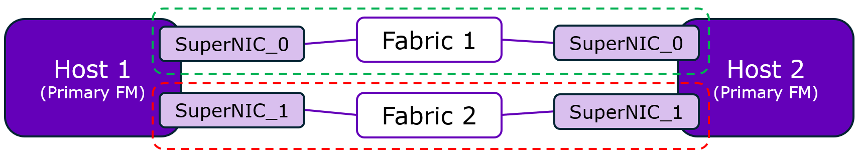 SuperNIC in the Fabric Manager Cabling