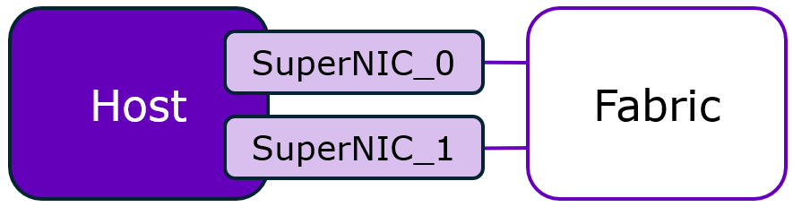 SuperNIC Cabling Example